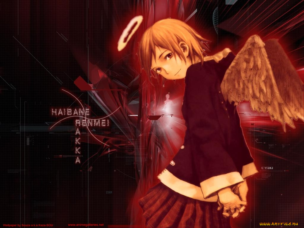 , haibane, renmei